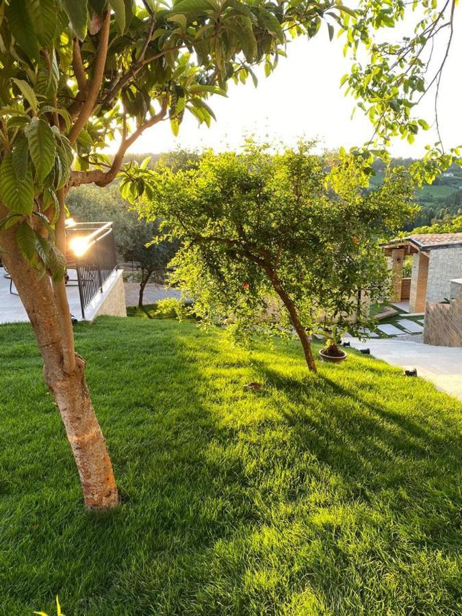 Relais Frasimon Antico Casale 호텔 산비토키에티노 외부 사진